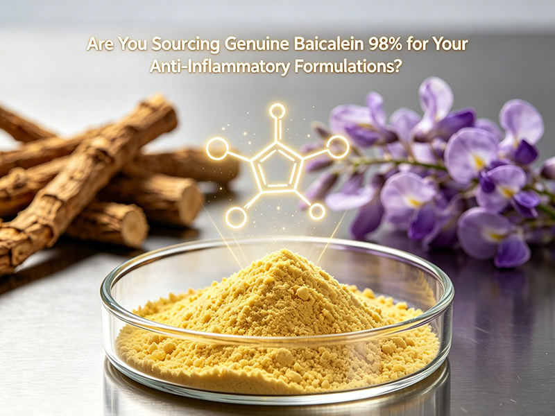 <p>Source premium Baicalein 98% HPLC (CAS 491-67-8) from Shaanxi Sunrise. High-purity anti-inflammatory flavonoid API derived from Chinese Skullcap. Full COA.</p>...