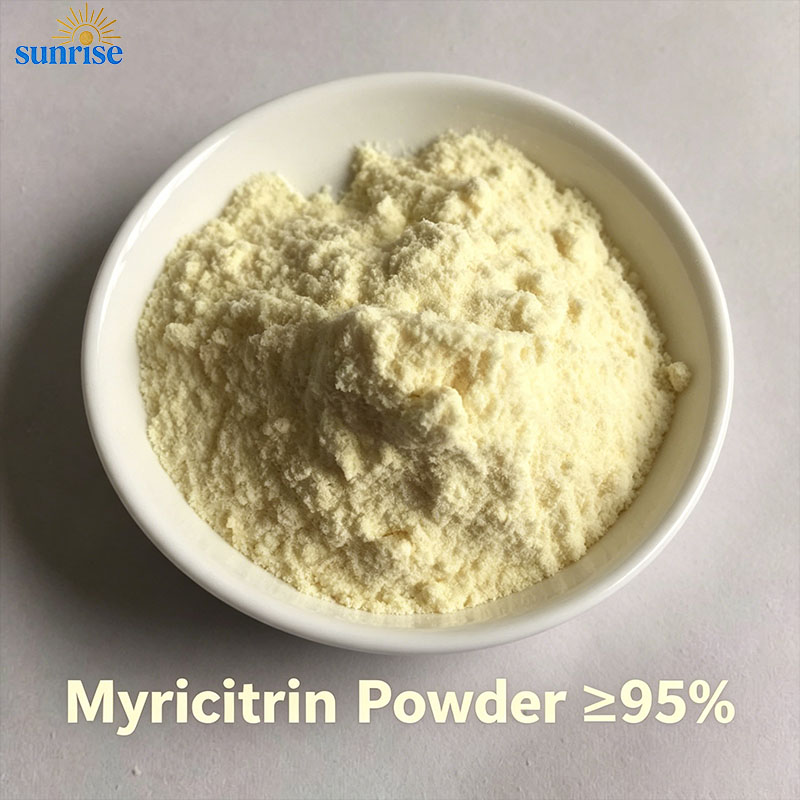Premium Myricitrin Powder (≥ 95.0% HPLC) | CAS 17912-87-7 | Myrica rubra Extract
