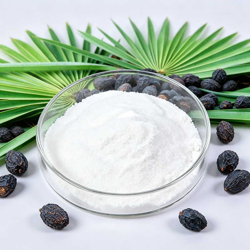 Water Soluble Saw Palmetto Powder (25%-45% Fatty Acids) | Solid Dosage API