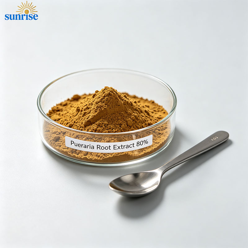 Curcumin 95% & 98% Powder CAS 458-37-7