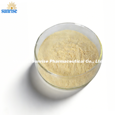 Construction Machinery