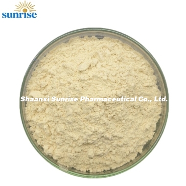 health supplements Mangiferin 95%  mango leaf extract